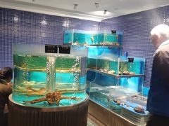水产区-沈灶河豚宴·河豚融合餐厅(汉中路店)