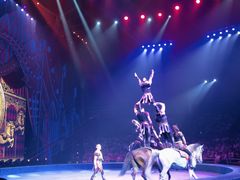 -珠海横琴长隆《卡卡虎奇遇记》