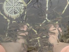 -海兰云天度假区温泉