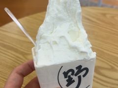 -野人先生Gelato(上海长宁龙之梦店)