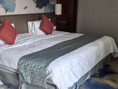 -常州环球恐龙城维景国际大酒店