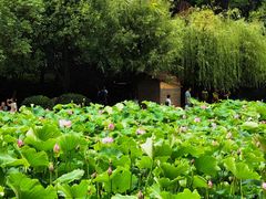 -月牙潭公园
