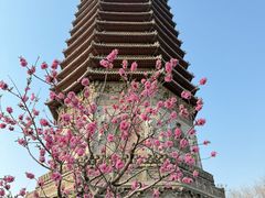 -玲珑塔公园