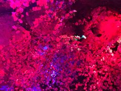 -青藤汗蒸时代会所