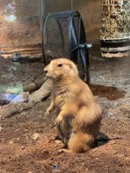 -Zoolung Zoolung动物主题公园(海信广场店)