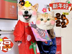 -蕃茄田艺术(普陀长风大悦城中心)