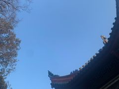 -黔灵山公园