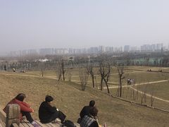 -汉长安城未央宫国家考古遗址公园