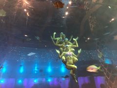 -瑞德姆美人鱼海底演艺主题餐厅(亚龙湾店)