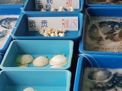 -旗鱼海番村(Orang Asli)