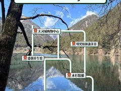 -振生清真饭店(永安道店)