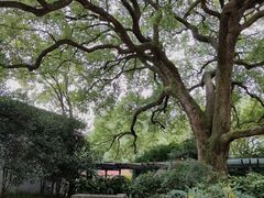 -中国茶叶博物馆(双峰馆区)