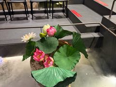 -单家老院·院子里的青岛菜(沙子口店)