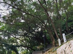 -青芝山风景名胜区