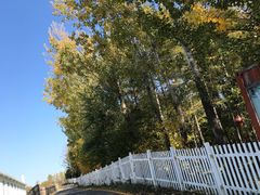 -北纬44度·金珠花海休闲农业旅游景区