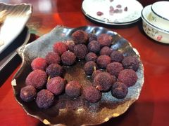 -蘑统田下·野生菌火锅