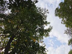 -揭东万竹园旅游景区