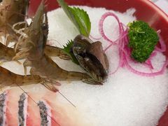 -红鼎豆捞·非遗鲍皇汤火锅(宝丰路店)