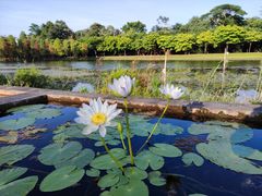 -华南国家植物园-售票处