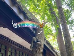 -三苏祠