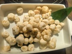 珍珠马蹄-同仁四季椰子鸡(海岸城天利店)