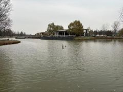 -西安浐灞国家湿地公园