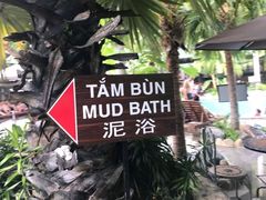 -100蛋泥浆浴