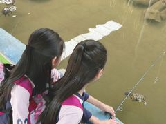 -广州长隆飞鸟乐园