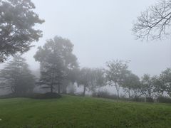 -上海怡沁园度假酒店