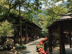 -姑婆山旅游区