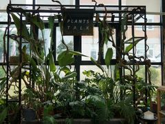 -北马山庄植趣咖啡