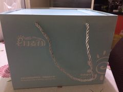 -维尔纳斯·生日蛋糕·动物奶油冰淇淋蛋糕(六里桥店)
