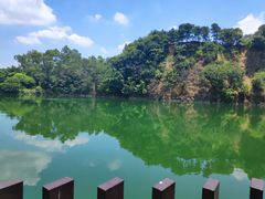 -王借岗森林公园