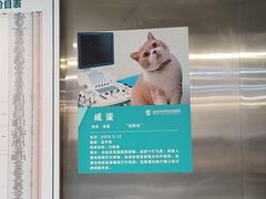 -伟伟宠物医院·CT影像中心·瑞派犬猫综合性门诊(汉口总院)