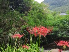 -达蓬山旅游度假区