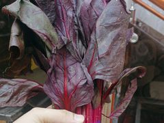 -集贤门·徽菜(南山店)