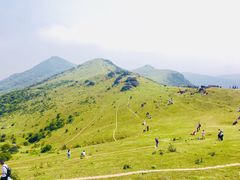 -大姆山草场
