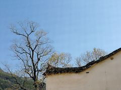-塔川景区