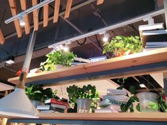 大堂-比格比萨自助(沙河店)