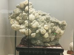 -安徽省地质博物馆