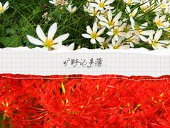 -西安浐灞国家湿地公园