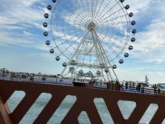 -秦皇岛乐岛海洋王国