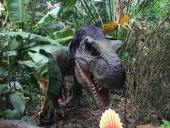 -海南热带野生动植物园
