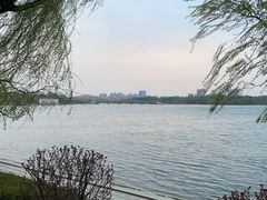 -长春市南湖公园