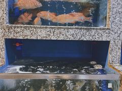 -渔人湾码头海鲜市场负二楼