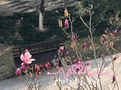 -锡师附小学(学前街校区)