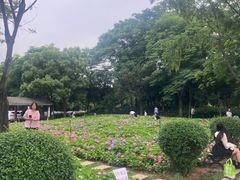-金银湖国家城市湿地公园