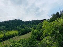 -敬亭山风景名胜区