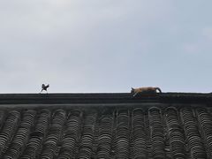 -北京国子监胡同