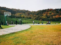 -羊山湖公园